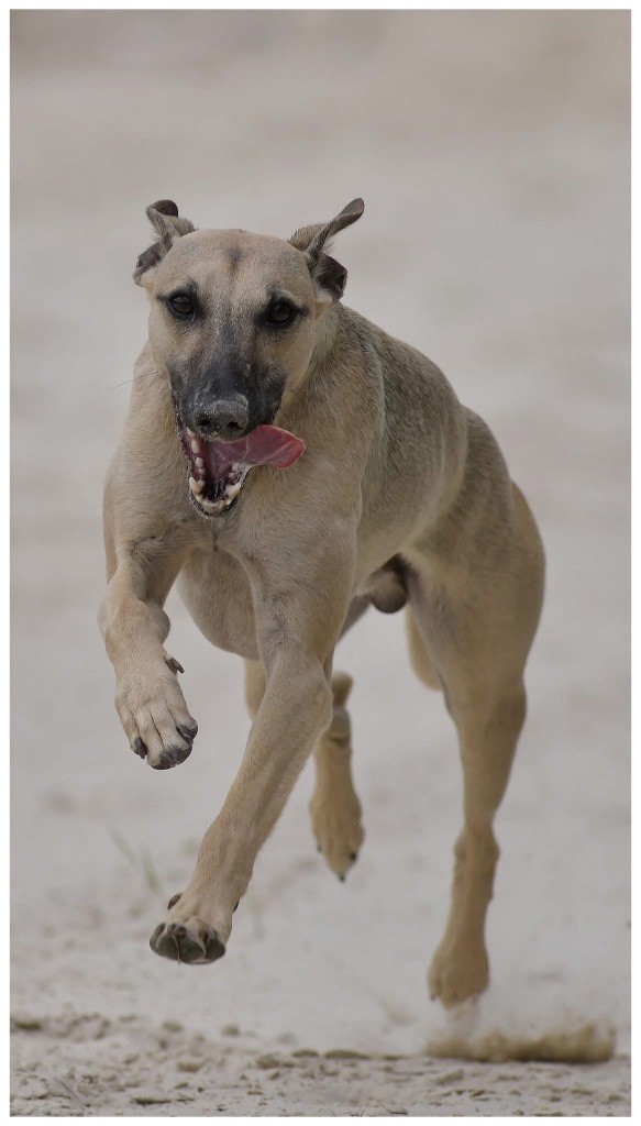 Very mysterious boy d?elwood meadows D’Elwood Meadows